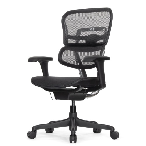 Ортопедическое кресло Falto Ergohuman 2 Project